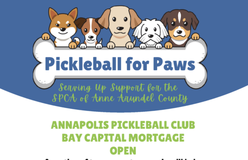 We’re thrilled to be the beneficiary of the upcoming Pickleball for Paws Tournament! 🎾🐾